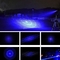 De nacht jaagt de Blauwe Laserpointer van 450 NM met de Verschillende Lichten van het Uiteinden Heldere Zoeken